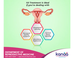 Kanaa Fertility Center – K.K. Nagar, Chennai