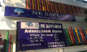 NE Saplings – New Delhi